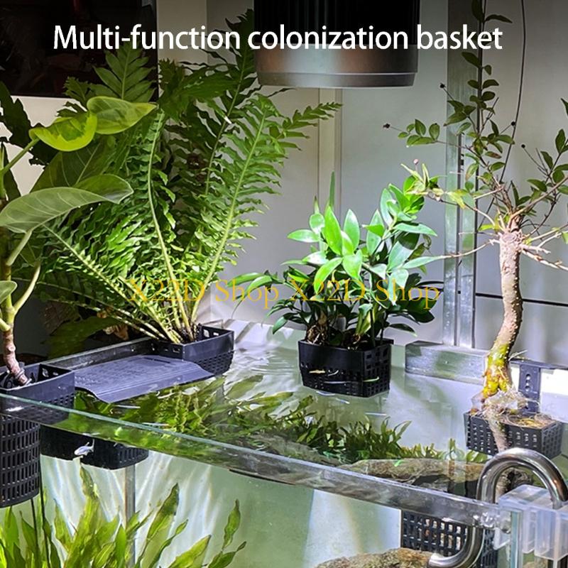 Plant Aquarium Pot - X22D โมเดิร์นสไตล์โบราณแนวตั้งผู้ถือพลาสติกติดผนังคอนเทนเนอร์