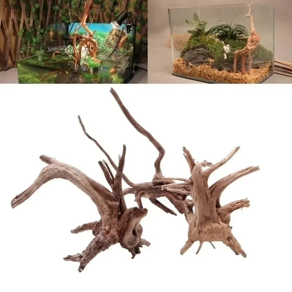 Aquarium Plant Substrate - ไม้ลอยน้ำธรรมชาติขนาด 15-20 ซม. สำหรับตกแต่งตู้ปลา - ของตกแต่งตู้ปลาคุณภาพพรีเมียม