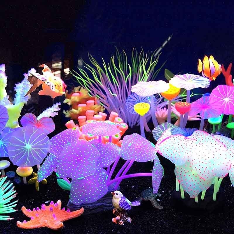 ซิลิโคนเรืองแสงตกแต่งตู้ปลา ปล - Aquarium Plants Live บทวิจารณ์และราคา
