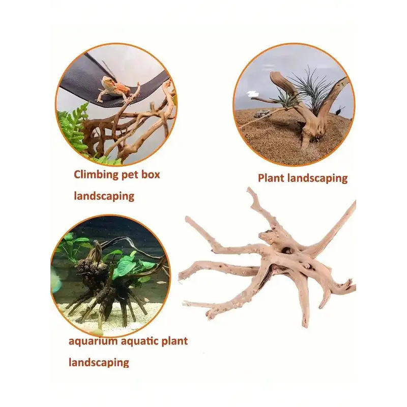 ไม้ลอยน้ำธรรมชาติสำหรับตกแต่งต - Aquarium Plant Substrate บทวิจารณ์และราคา