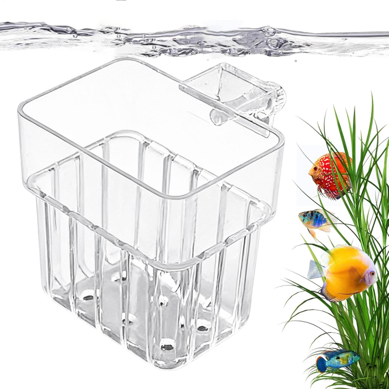 กระถางปลูกพืชแบบแขวนโปร่งใสสำห - Aquarium Plants Live บทวิจารณ์และราคา