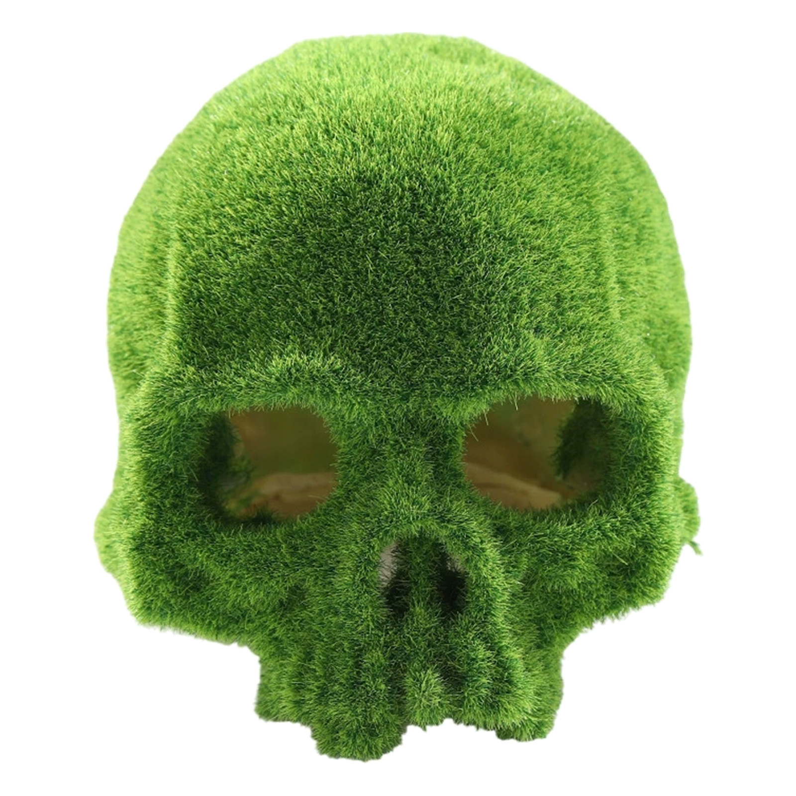 ที่หลบซ่อนรูปหัวกะโหลกมอสเรซิ่ - Aquarium Moss บทวิจารณ์และราคา