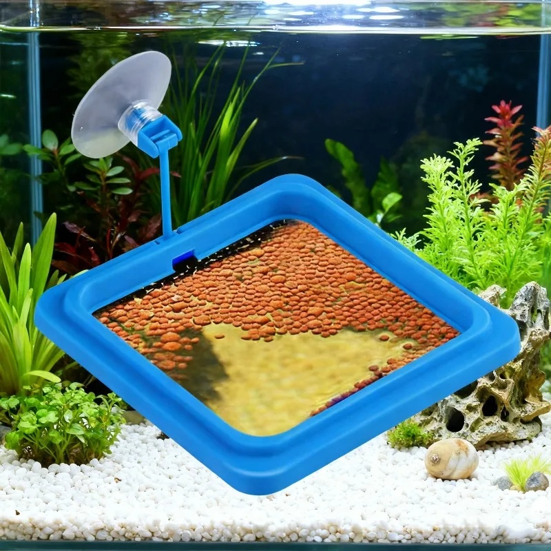 วงแหวนให้อาหารปลาในตู้ปลา ถาดอ - Aquarium Fertilizer บทวิจารณ์และราคา