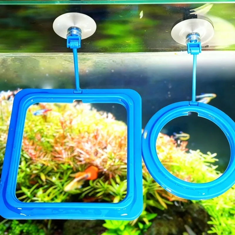 วงแหวนให้อาหารปลาในตู้ปลา ถาดอ - Aquarium Fertilizer บทวิจารณ์และราคา