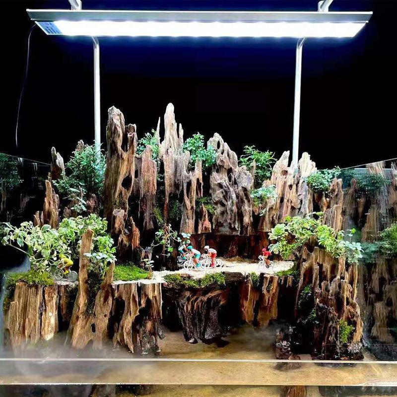ไม้ตกแต่งตู้ปลาสำหรับกุ้ง, ไม้ - Aquarium Driftwood บทวิจารณ์และราคา