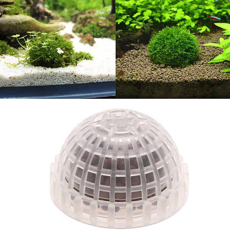 1 ชิ้น อุปกรณ์ตกแต่งตู้ปลา ลูก - Live Plant Aquarium บทวิจารณ์และราคา