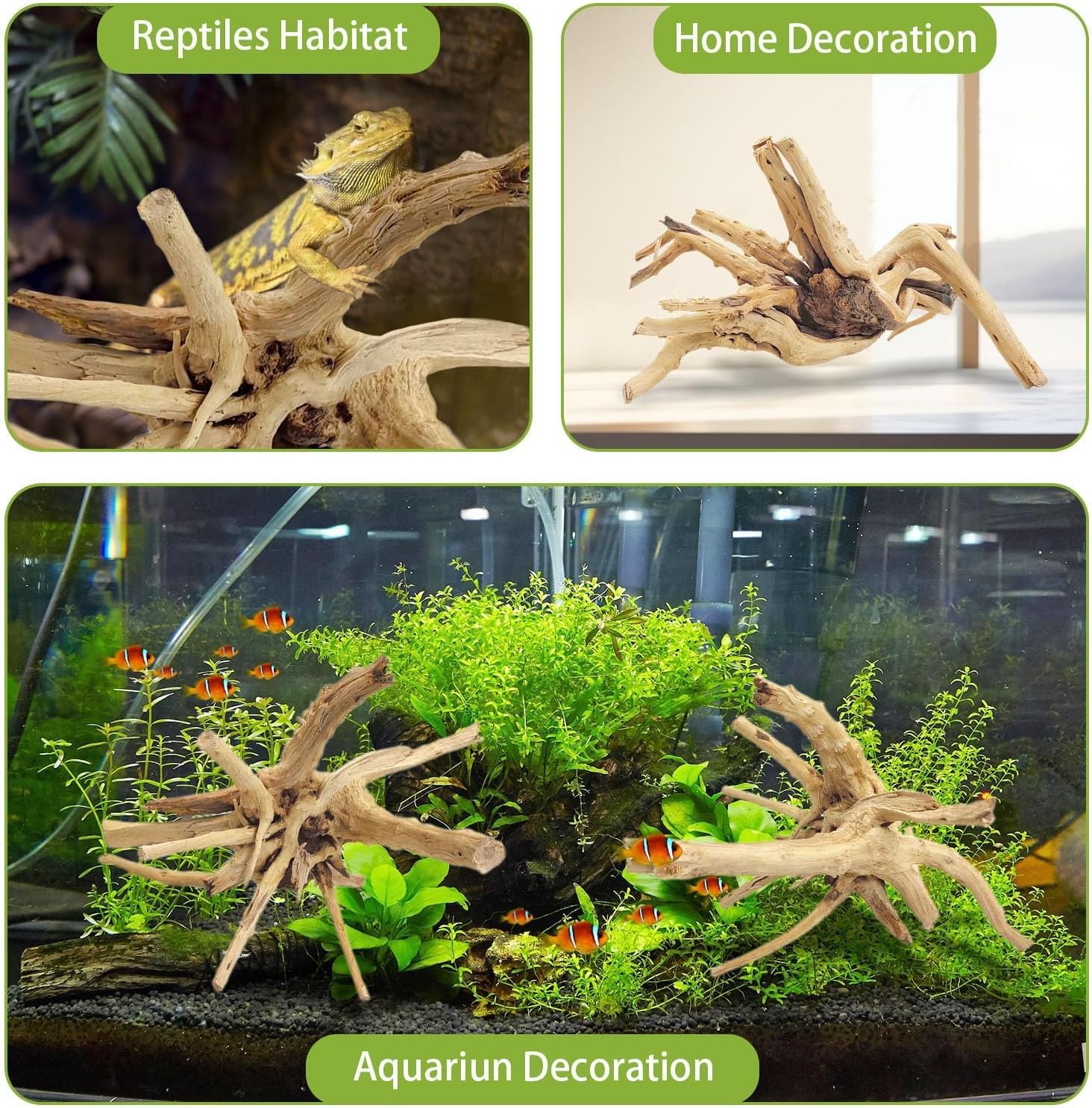 ไม้ลอยน้ำธรรมชาติขนาด 20-25 ซม - Aquarium Driftwood บทวิจารณ์และราคา