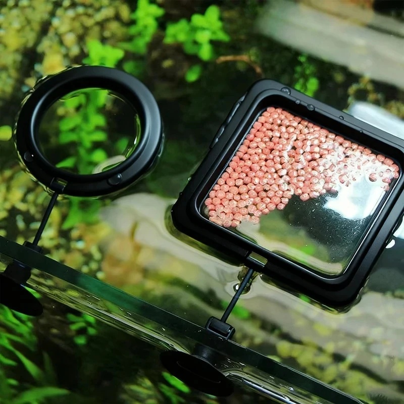 1/3 ชิ้น วงแหวนให้อาหารปลาในตู - Aquarium Fertilizer บทวิจารณ์และราคา