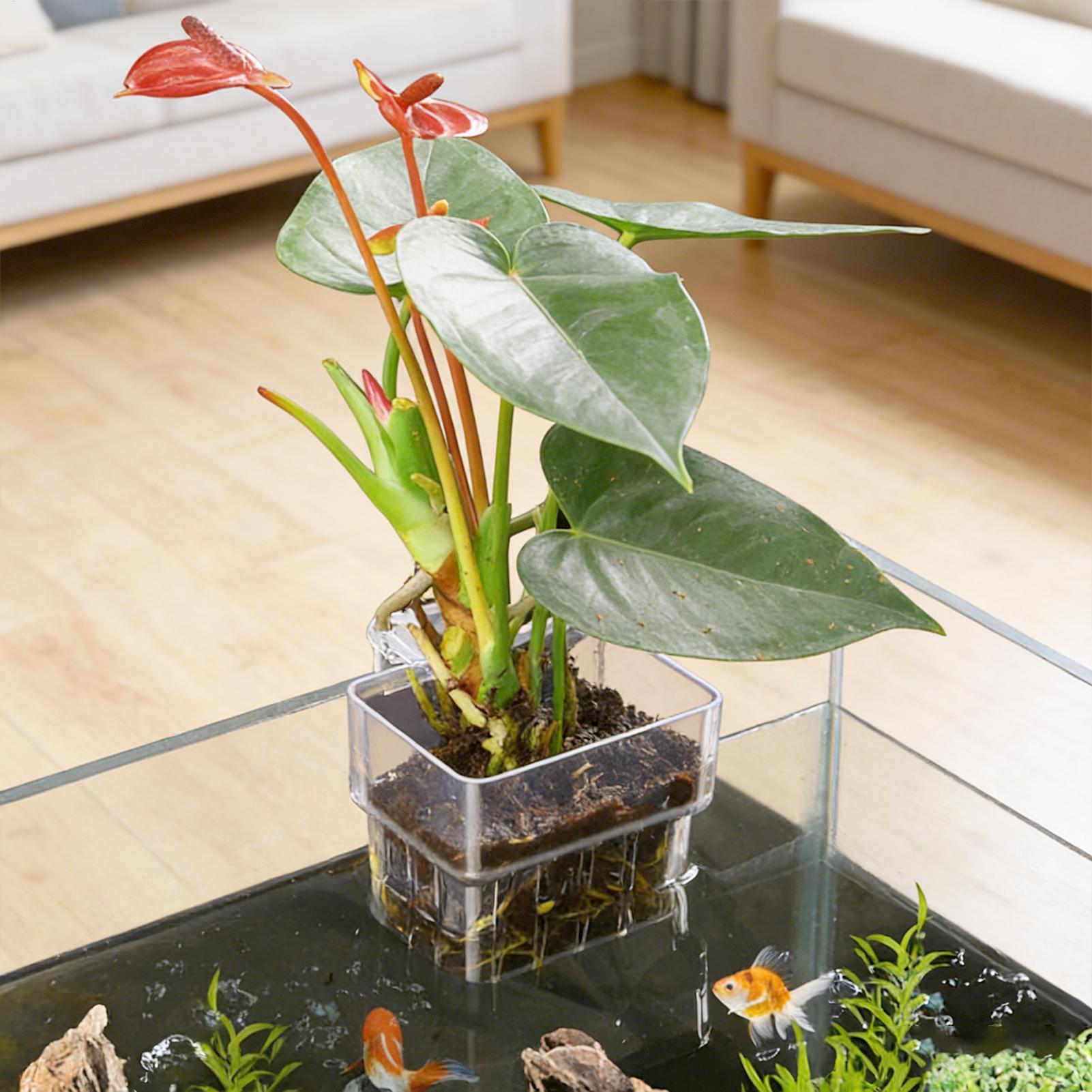 ตะกร้าปลูกต้นไม้ในตู้ปลา กระถา - Plant Aquarium Pot บทวิจารณ์และราคา