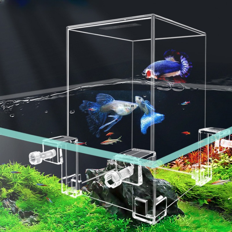 ตู้ปลาขนาดเล็กสำหรับตกแต่งตู้ป - Plant Aquarium Pot บทวิจารณ์และราคา