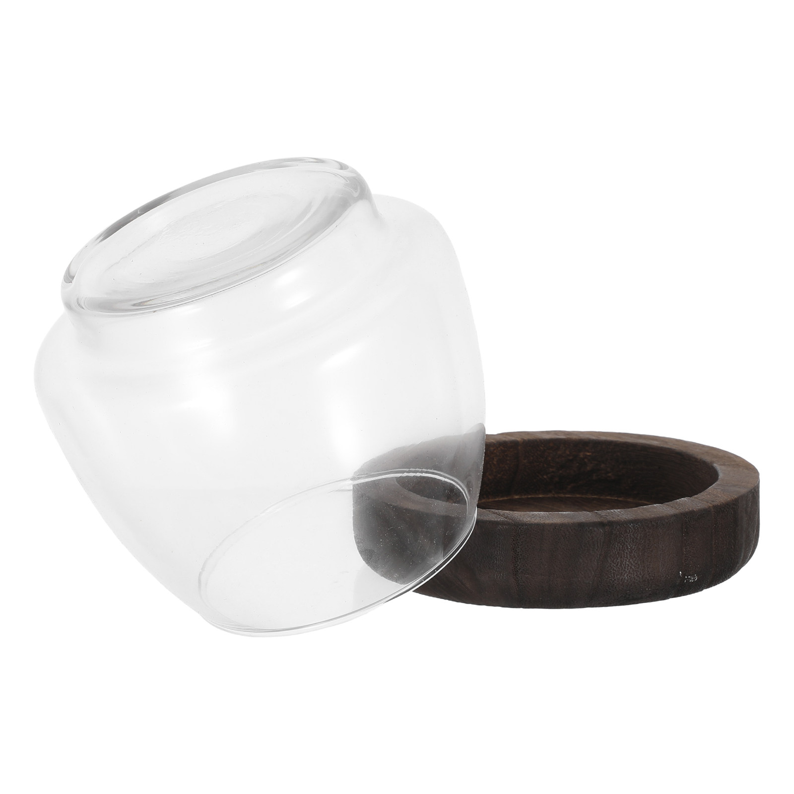 กระถางต้นไม้ไฮโดรโปนิกส์ทรงกลม - Aquarium Plant Holder บทวิจารณ์และราคา