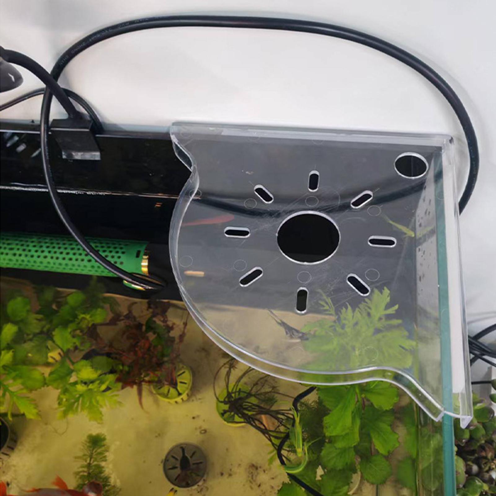 ชั้นวางของมุมตู้ปลาแบบสามเหลี่ - Aquarium Plants Live บทวิจารณ์และราคา