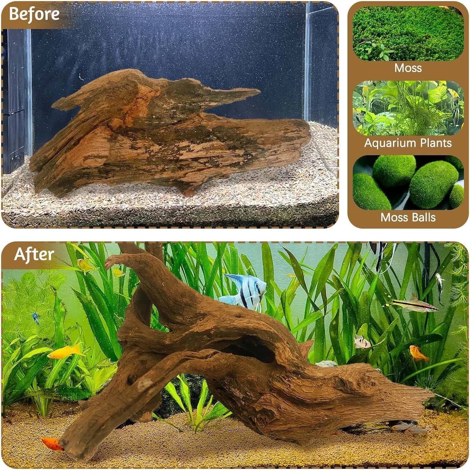 15-20 ซม. 1 ชิ้น ไม้ลอยน้ำธรรม - Aquarium Plant Substrate บทวิจารณ์และราคา