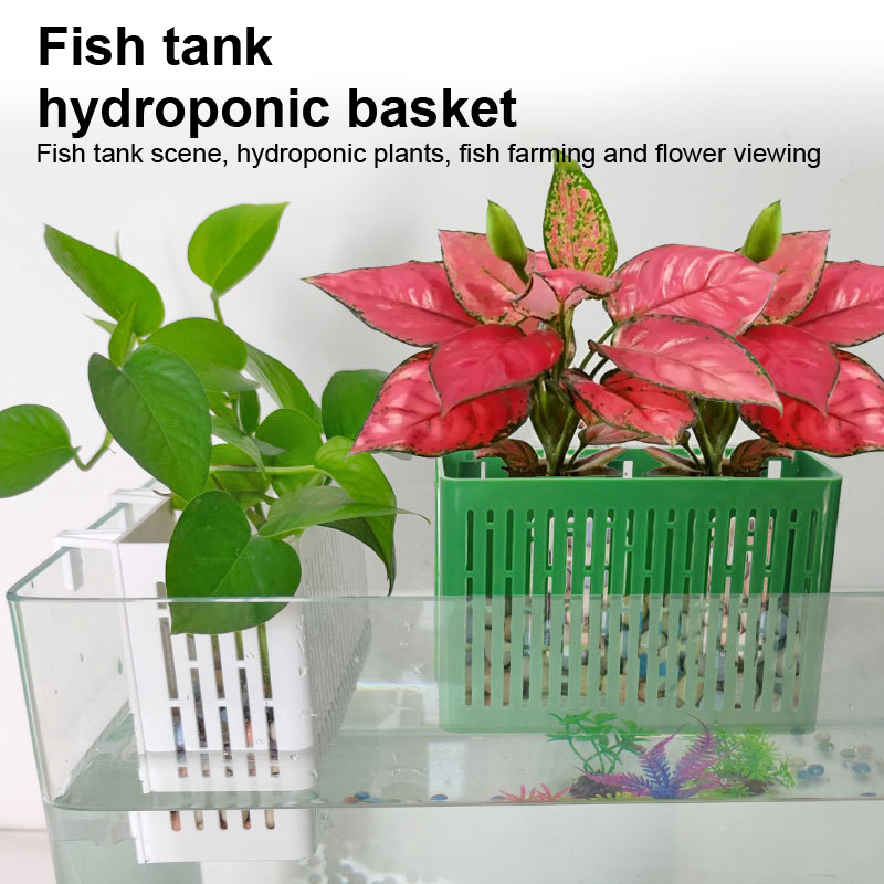 【F】กระถางแขวนตู้ปลา ที่วางต้นไ - Aquarium Plant Substrate บทวิจารณ์และราคา