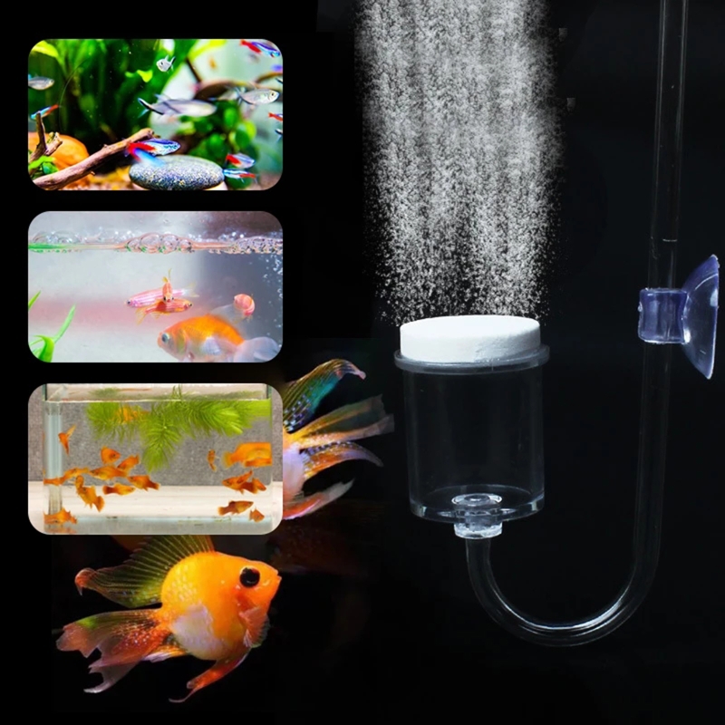 DIY ชุดกระจาย CO2 4ชิ้นสำหรับต - Aquarium Plants Live บทวิจารณ์และราคา